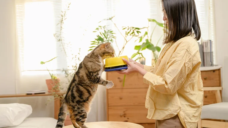 Alimentação Ideal para Pets Recém-Adotados: Guia Completo