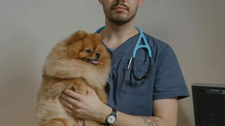 A Importância do Acompanhamento Veterinário Após Adotar um Pet