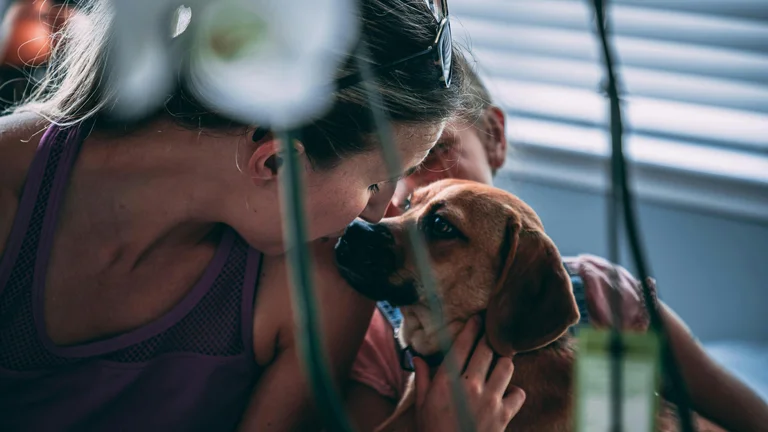 A influência do tutor no sucesso do adestramento de animais domésticos