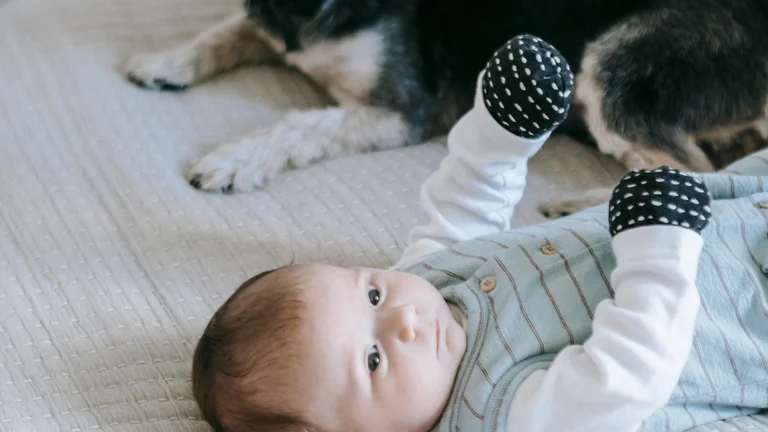 Dicas para Lidar com o Comportamento do Pet Recém-Adotado