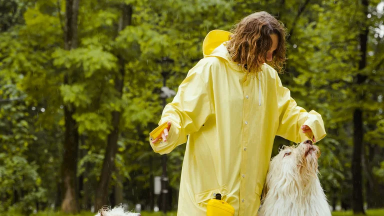 Como Evitar a Obesidade em Pets: Guia Completo para Tutores