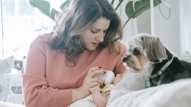 Rotina ideal para um pet recém-adotado: cuide do seu novo amigo