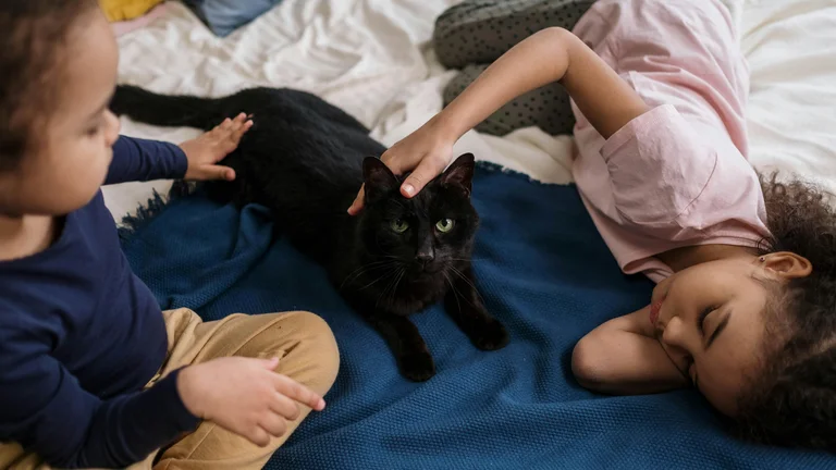 Adaptação entre Pets Adotados e Crianças: Guia Completo