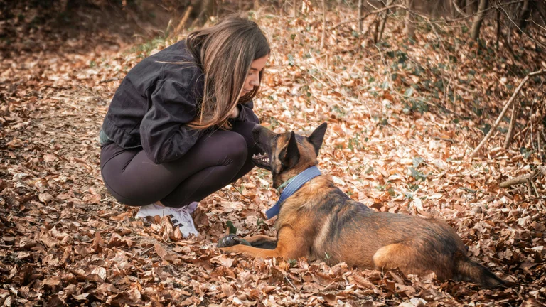 A paciência: chave para o sucesso no adestramento canino