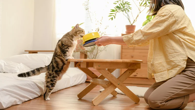 Guia completo: Adote um pet com responsabilidade e amor