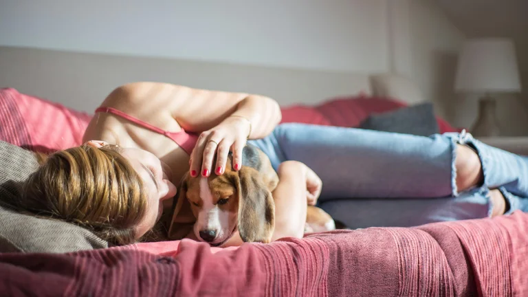 Como ajudar seu pet adotado a se adaptar ao novo lar de forma tranquila