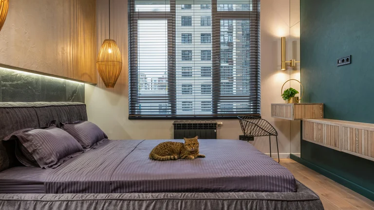 Cuidados Essenciais para Manter Pets Saudáveis em Apartamentos
