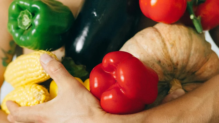 Dicas para conservar alimentos naturais de pets com segurança