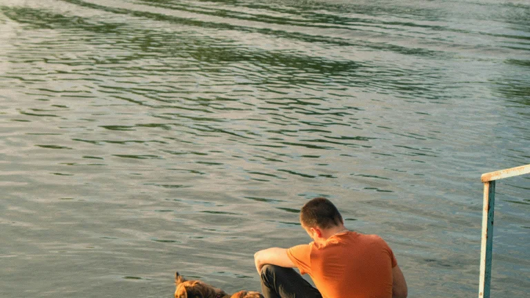 Planejamento de Viagens: Cuidados com Pets Adotados