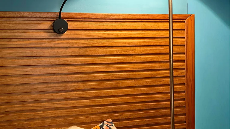 Como ajudar seu pet a vencer o medo do veterinário de forma simples